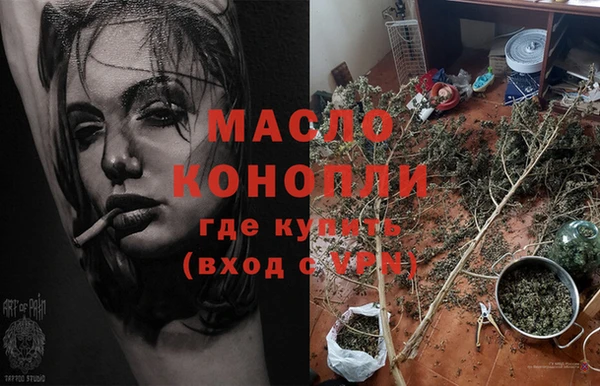 крисы Армянск