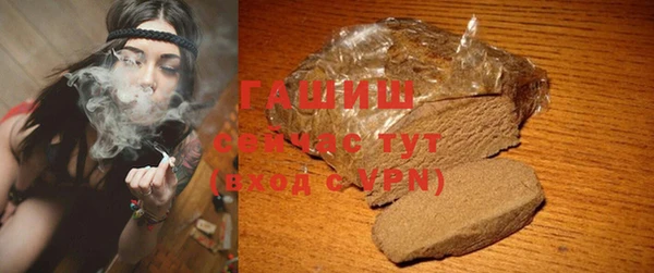 индика Сатка